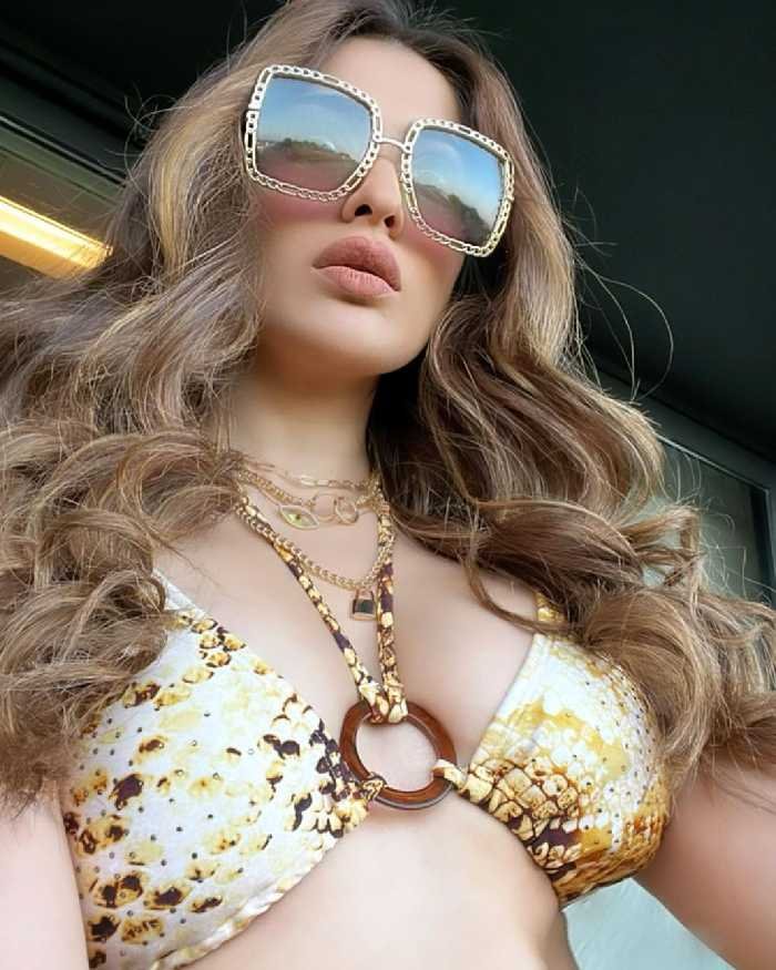 raai laxmi 3